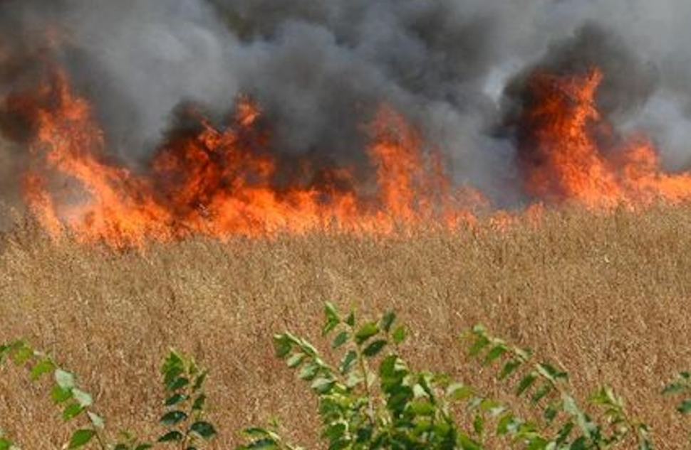 Prevenzione e lotta agli incendi 
