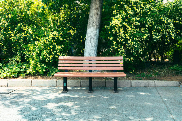 Un concorso per le "panchine artistiche" . Riapertura termini di presentazione delle istanze di partecipazione