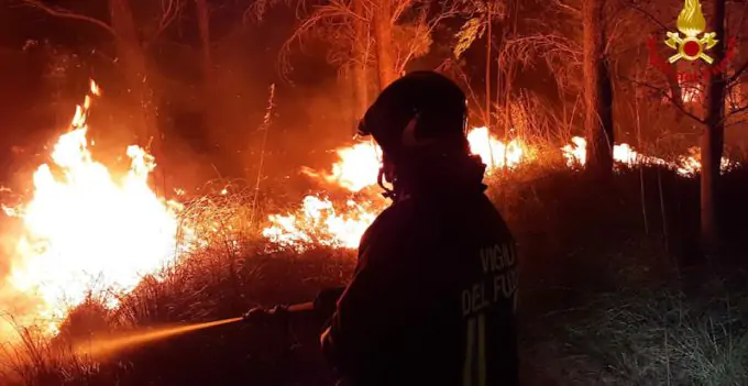 Prevenzione incendi 2024. Obbligo per i proprietari di aree e/o terreni ai fini della eliminazione di sterpaglie e pulitura terreni. 